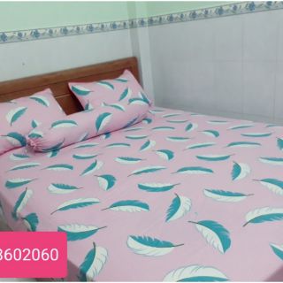 Drap Thắng lợi M6/M8 không chăn/ mền