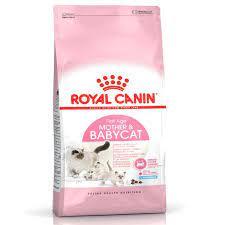 Royalcanin Mother and baby cat thức ăn cho mèo bầu và mèo con 2kg- Pet Care Center