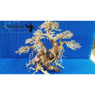 Cây Bonsai cho hồ cá size lớn
