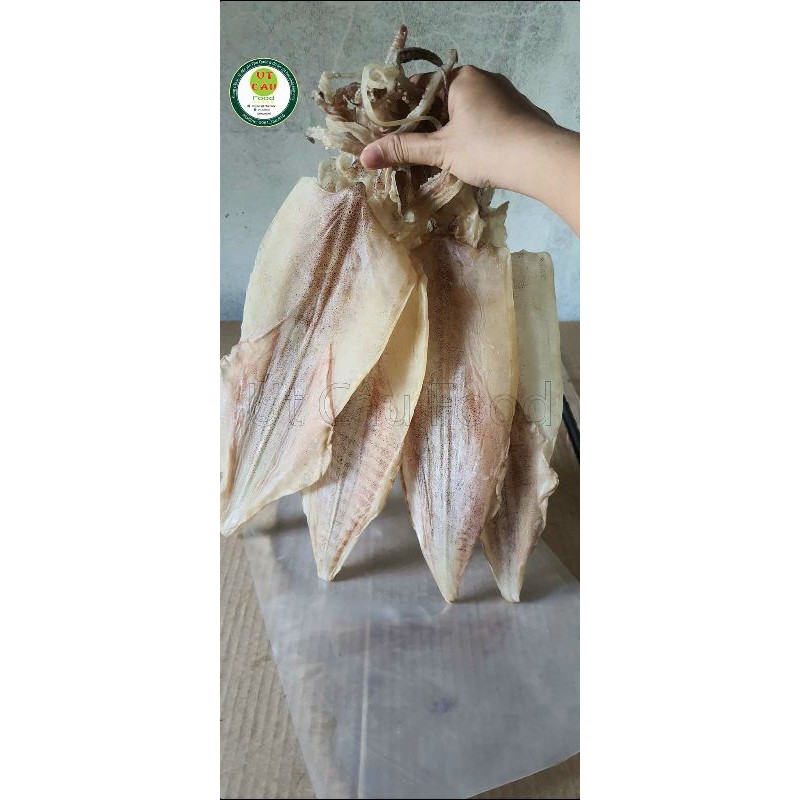 (Cực Ngon) 1 Con Mực Câu Phú Quốc Size  VIP (8-10 con/kg)