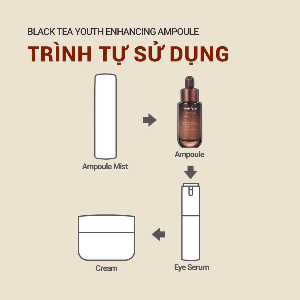 [Mã FMCGMALL -8% đơn 250K] Bộ sản phẩm phục hồi da và chống lão hóa trà đen Innisfree Black Tea Youth Enhancing Set 4