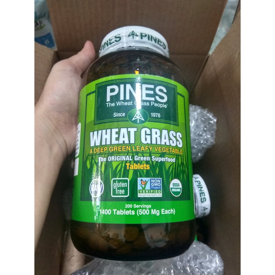 Mầm lúa mì Wheat grass