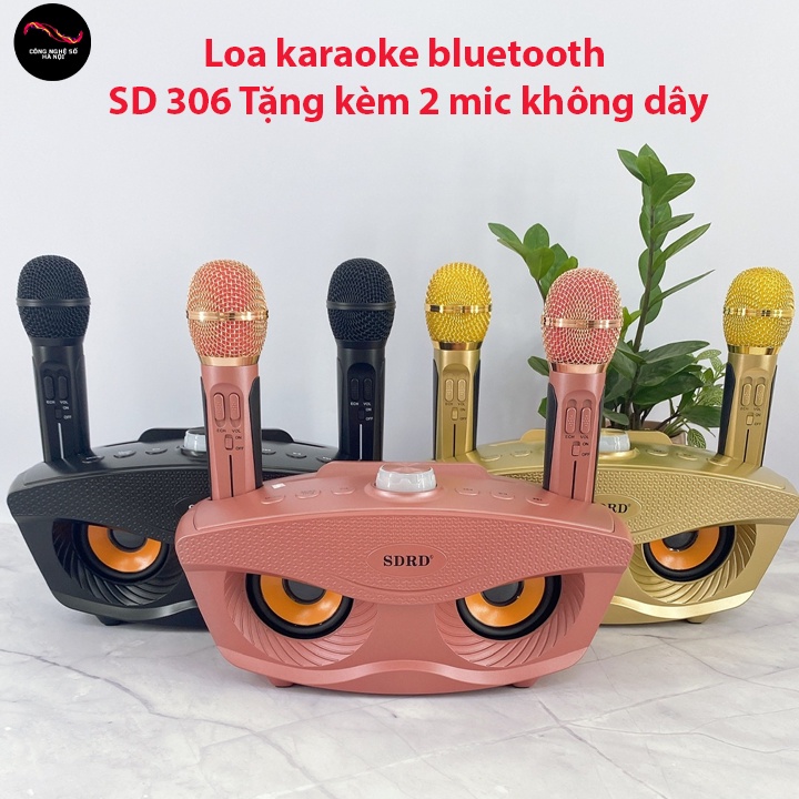 Loa Karaoke Bluetooth SD-306 Tặng Kèm 2 Micro Không Dây, loa karaoke mini du lịch và dành hát cho gia đình