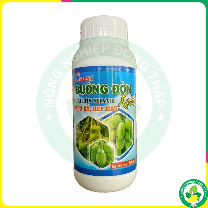 BUÔNG ĐÒN XOÀI – Trái Lớn Nhanh, Nặng Ký, Đẹp Màu (Chai 500ml)