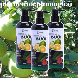 Dầu gội bưởi CatChy 2in1 thúc đẩy quá trình mọc tóc và chống rụng tóc