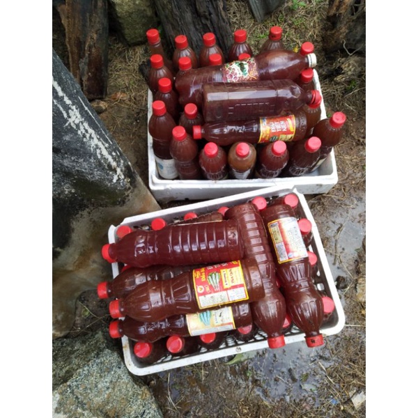 Vi sinh quang hợp psb/ thiết lập vi sinh, tạo môi trường nước lý tưởng