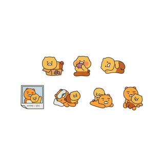 Set Sticker Kakao Friends Choonsik