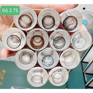 LENS ĐỘ ( -2.00 ĐẾN -2.75) 55K/ CẶP + KHAY ĐƠN