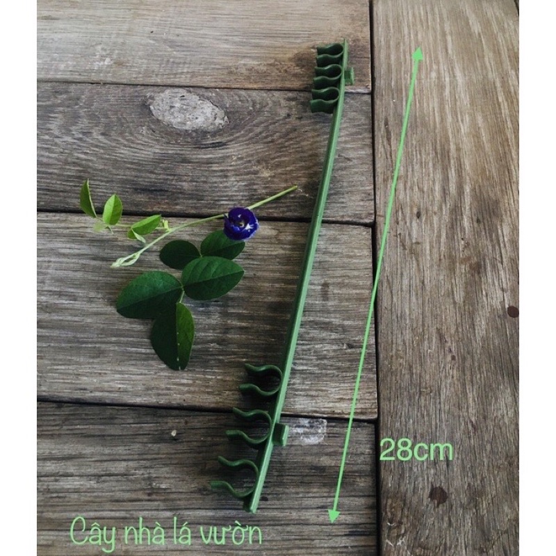 Bộ khung cho dây leo 120cm *30cm