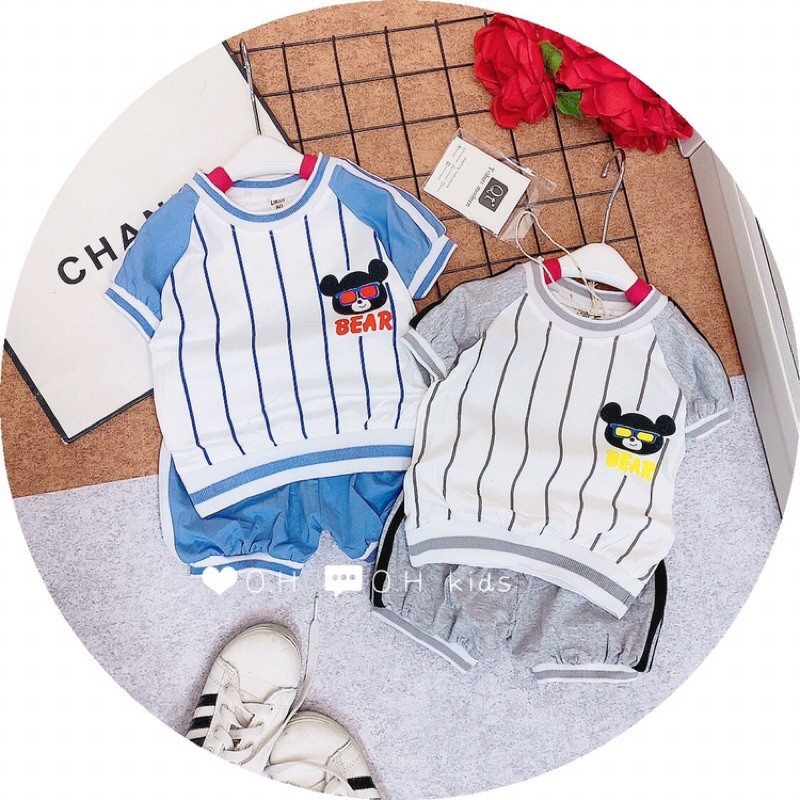 SET BỘ GẤU KẺ SỌC