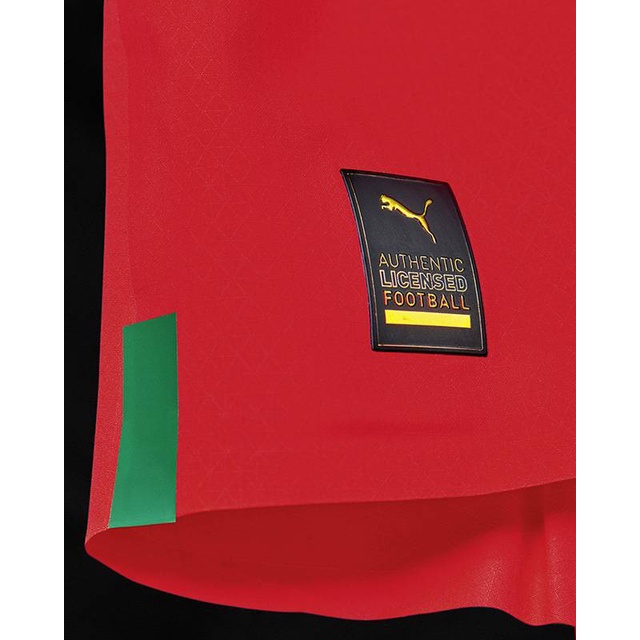 Áo Thun Bóng Đá np2 2022 world cup morocco national cup plus size pn2