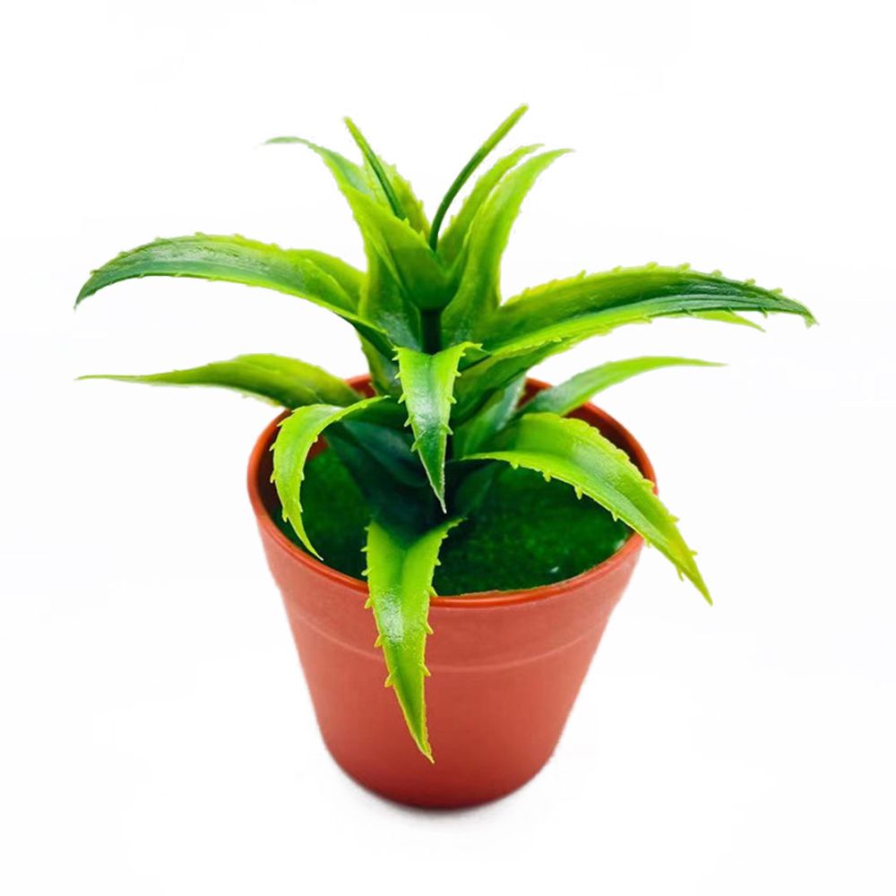 Chậu cây cảnh nhân tạo dùng trang trí nhà cửa