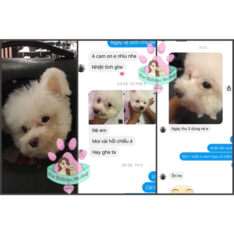 Phấn Little Paw bong tơi và giảm ố lông chó mèo