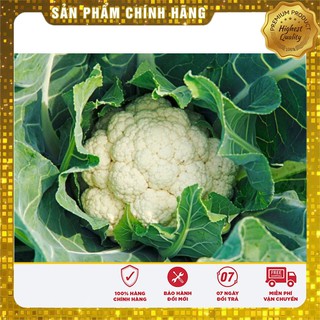 Hạt Giống Súp Lơ Trắng F1
