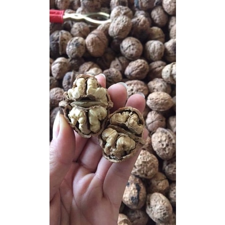 Óc chó nếp sâp 1kg loaii 1