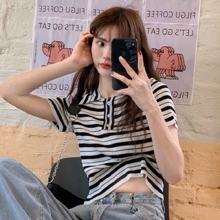 🌸🎉 Áo PoLo Len Dệt 🎉🌸