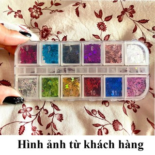 Set 12 ô nhũ bướm lấp lánh rất sáng đắp ẩn gel phong cách Hàn Nhật R39