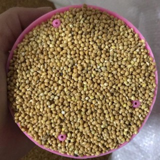 Hạt Kê Vàng 1kg