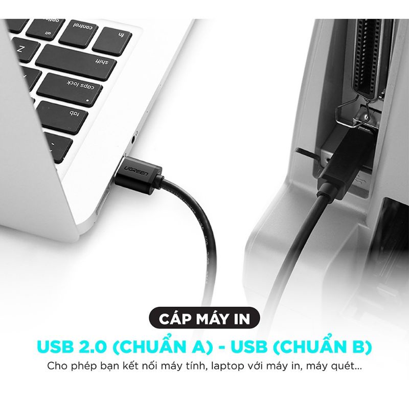 Dây máy in USB 2.0 chuẩn A đực sang chuẩn B đực, dài từ 1-5m UGREEN US135 - Hàng Chính Hãng