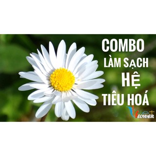 Combo làm sạch hệ tiêu hóa, thụt tháo đại tràng, súc rửa ruột, thanh lọc đại tràng, coffee enema