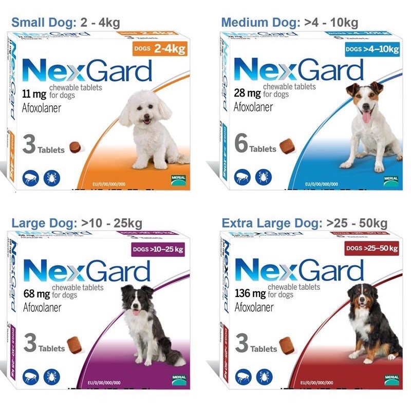 Viên Nexgard giúp bảo vệ cún khỏi ve rận, ký sinh các loại