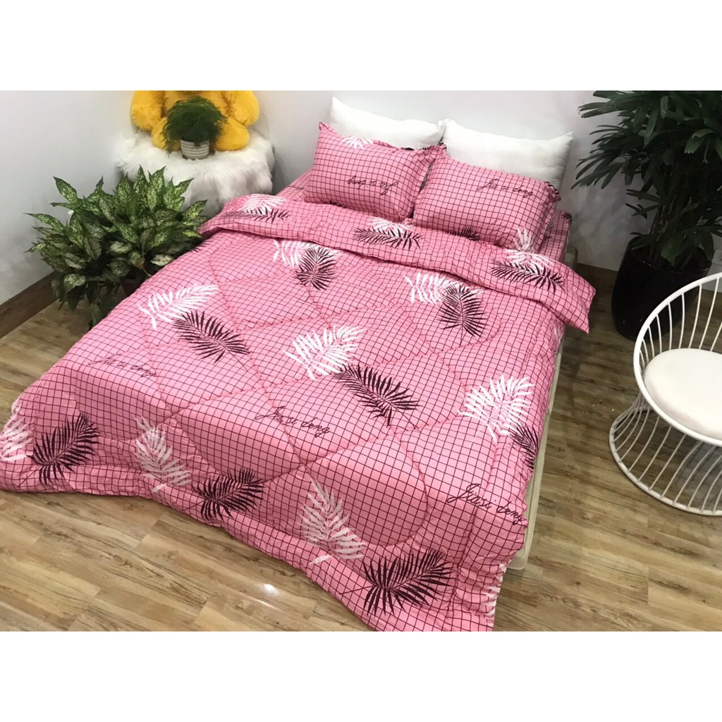 Bộ chăn phao ga gối poly cotton MẪU - dương xỉ hồng