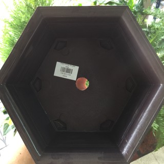 Chậu bonsai lục giác Mini (21cmX8cm)