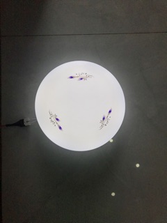 Đèn Mâm Ốp Trần OTL007 LED 12W Trắng