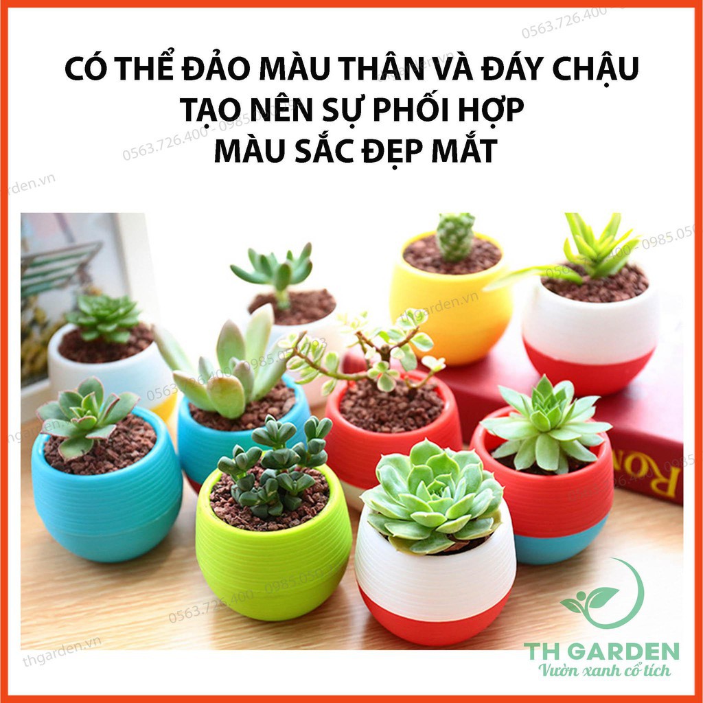 Chậu Trồng Cây Mini Có Đáy Trữ Nước - Đa dạng màu sắc - Trang trí nhà cửa, văn phòng tuyệt đẹp