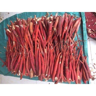 Sâm cau đỏ (2kg)