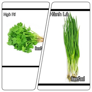 HÀNH LÁ - NGÒ RÍ HOMEFOOD 500g