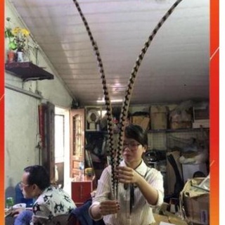 ( CÓ SẴN ) Lông Trĩ Tôn Ngộ Không 160cm
