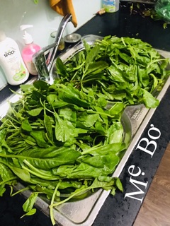 Bột rau cải bó xôi