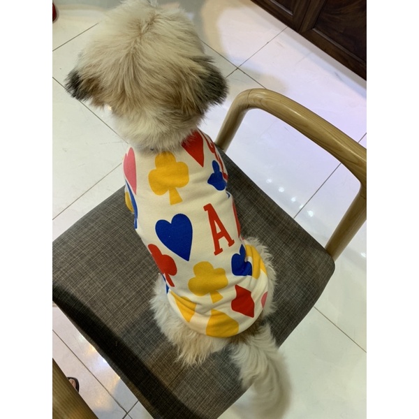 Áo có tay cho chó mèo