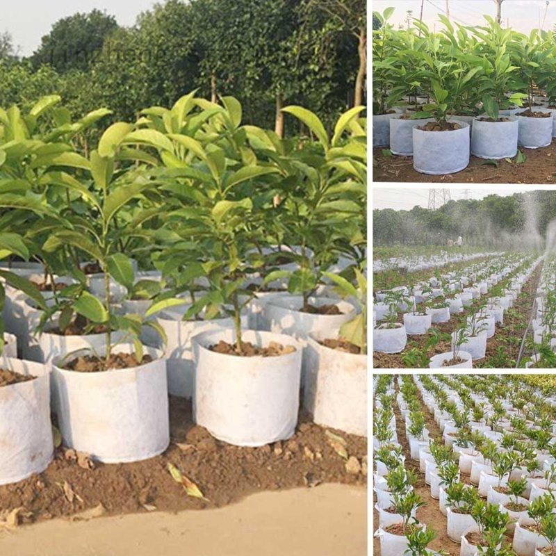 Túi trồng cây tiện lợi chất lượng