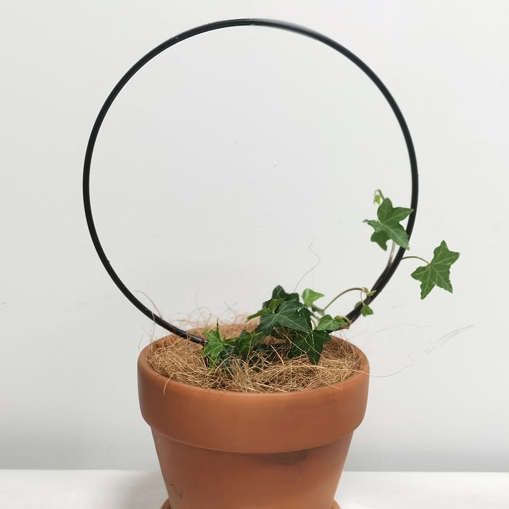 Khung Hỗ Trợ Trồng Cây Hình Tròn Bằng Sắt Chắc Chắn Dùng Trong Nhà / Ngoài Trời