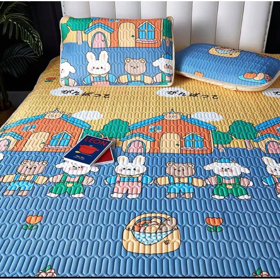 Chiếu điều hòa tencel ( mầu theo hình đại diện)