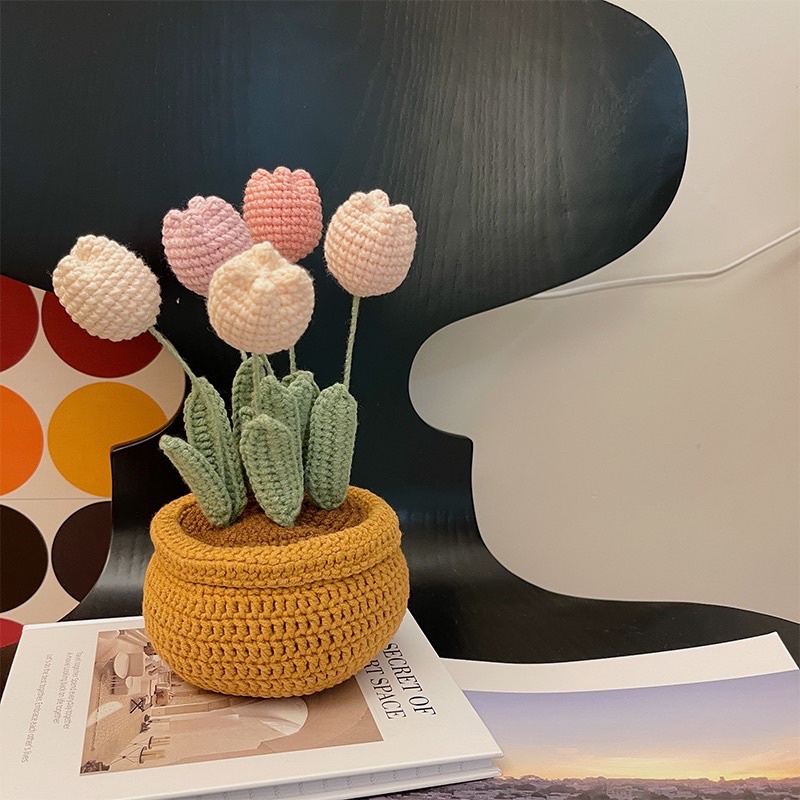 DIY Gói Nguyên Liệu Móc Chậu Hoa Len - Quà Tặng Handmade Tự Làm Decor SJHY0407