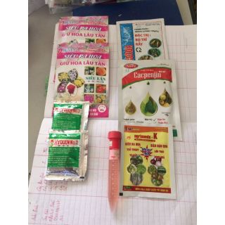 Combo chăm sóc hoa đầy đủ
