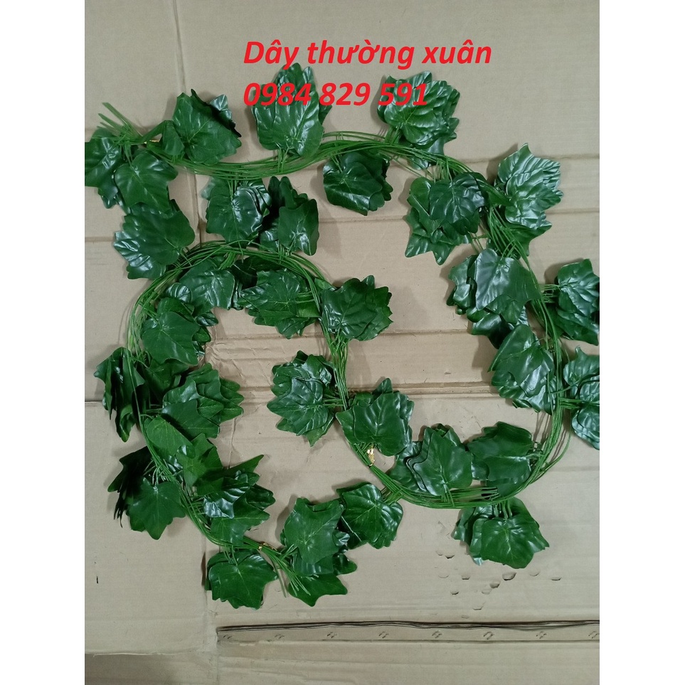 Dây leo giả: lá nho, trầu bà, thường xuân, rau má, dưa hấu, dài 2.4M
