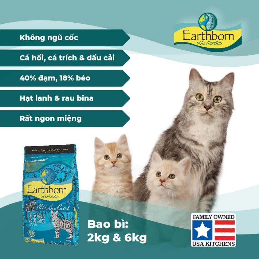 [DINH DƯỠNG CAO] Bịch 500g hạt cho mèo EARTHBORN Wild Sea Catch vị Cá Hồi &amp; Cá Trích - Thức ăn cho mèo