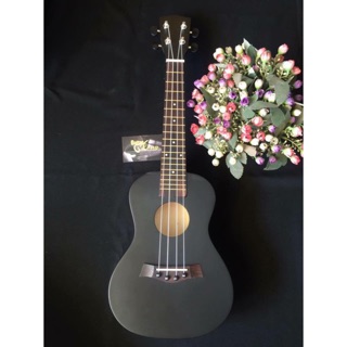 Đàn ukulele concert