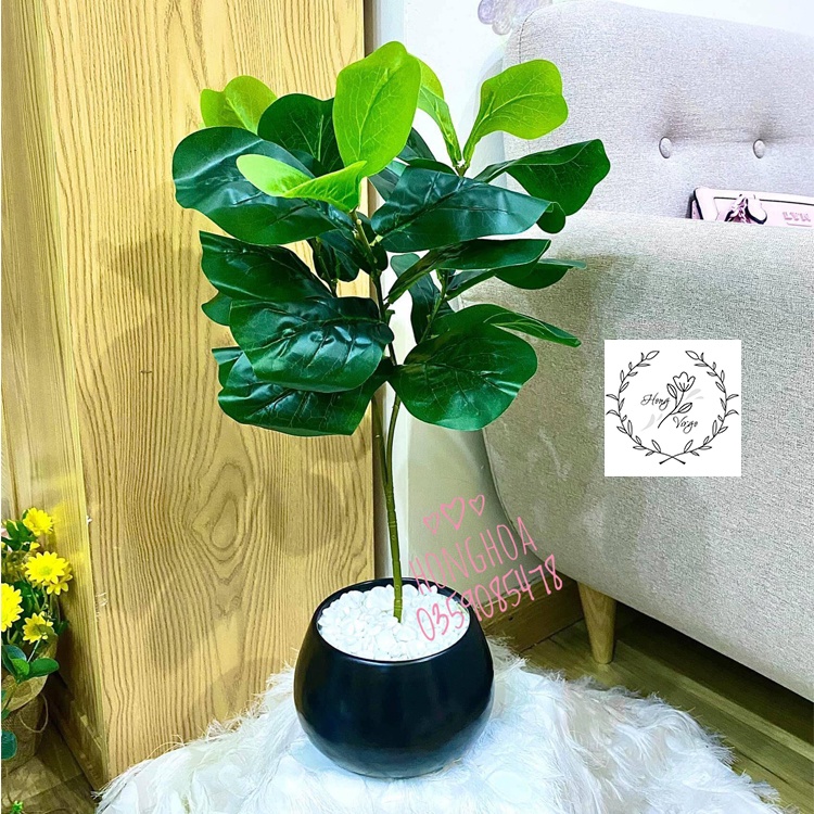 🥰 Cây bàng Singapore giả cao 65cm, 3 nhánh decor siêu siêu xinh giống thật 99%