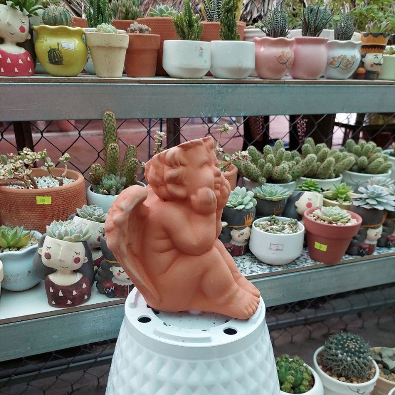 Chậu đất nung, Chậu sen đá, thiên thần, đường kính miệng chậu 7cm, chiều cao 20cm