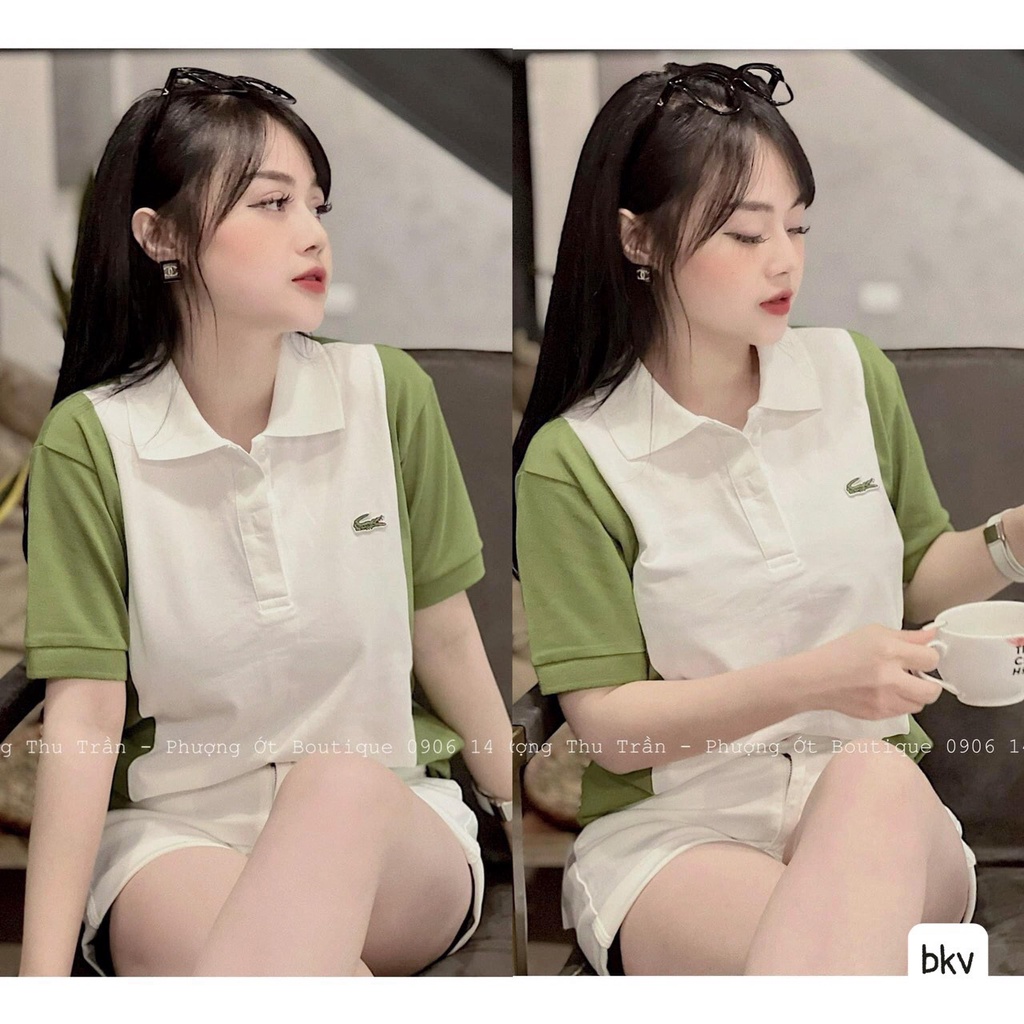 Áo thun Polo phối màu - Chất đẹp
