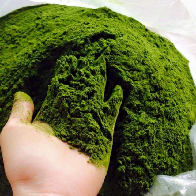 Bột trà xanh nguyên chất