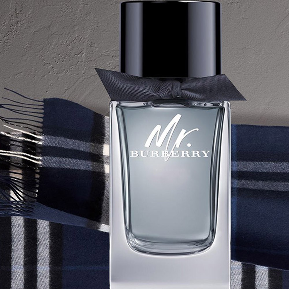 Nước Hoa Nam MR. BURBERRY EAU DE PARFUM - Nước Hoa Nam BURBERRY - Nước Hoa Nam Bí Ẩn -  Nước Hoa Nam 100ml | BigBuy360 - bigbuy360.vn