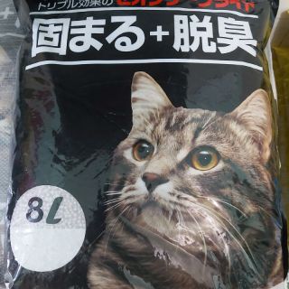 Cát vệ sinh mèo Nhật Bản