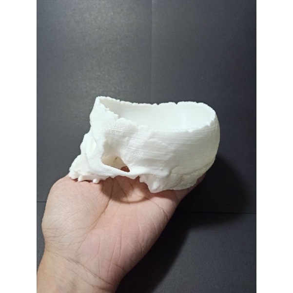 Mô hình đầu lâu dạng lõm, tô đầu lâu trang trí kinh dị, halloween dài 13cm