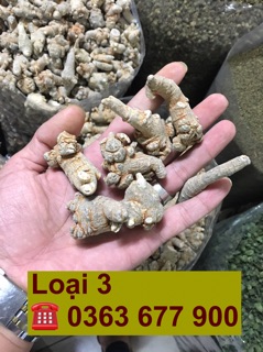 Củ tam thất ( 1kg ) uy tín chất lượng